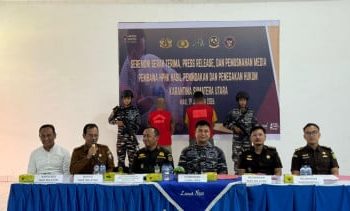 TNI AL Gagalkan Penyelundupan 227 Babi Ilegal di Perairan Nias, Dua Nakhoda Dijerat Hukum