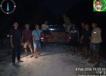 Tim Keamanan PT Macan Sejahtera Cahaya Kembali Gagalkan Pencurian Ratusan Kilogram TBS