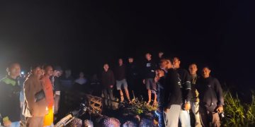 Sigap! Tim Keamanan PT Macan Sejahtera Cahaya Gagalkan Pencurian Sawit, 1 OTK Diamankan