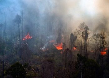 BMKG Deteksi 14 Titik Panas di Sumut, Sejumlah Wilayah Berpotensi Diguyur Hujan