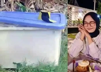 Kasus Mayat Wanita Dalam Boks Kontainer di Medan Denai Terungkap, Dua Pelaku Berhasil Ditangkap