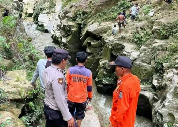 Operasi SAR Berakhir, Pasutri Korban Mobil Masuk Jurang Belum Juga Ditemukan