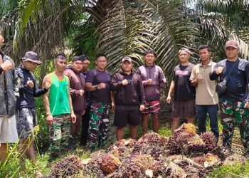 Aksi Pencurian Gagal, Satpam PT Macan Sejahtera Cahaya Selamatkan416 Kg TBS