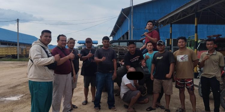Kejar Hingga Tertangkap, Satpam PT Macan Sejahtera Cahaya Amankan Pencuri Sawit