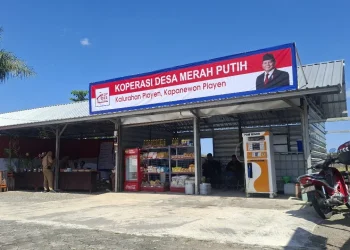 Pemerintah Buka Rekrutmen 35 Ribu Manajer Kopdes, Gajinya Capai Segini