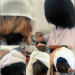 Viral Siswi SMK di Garut Menangis Usai Rambut Dicukur Paksa Guru, Sekolah Minta Maaf