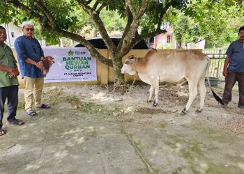 PT Macan Sejahtera Cahaya Salurkan Hewan Kurban untuk Warga Mangkei Baru Batu Bara