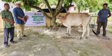 PT Macan Sejahtera Cahaya Salurkan Hewan Kurban untuk Warga Mangkei Baru Batu Bara