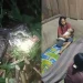 Wanita di Pulau Taliabu Tewas Ditelan Ular Piton Saat Pindahkan Sapi