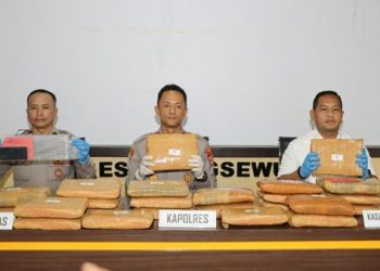 Kurir Ganja 24 Kg Asal Sumut Ditangkap di Lampung, Polisi Dalami Jaringan Pemasok