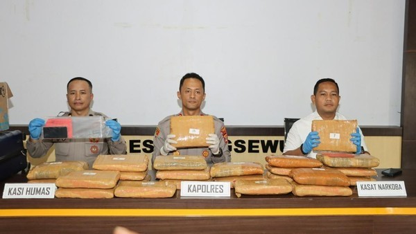 Kurir Ganja 24 Kg Asal Sumut Ditangkap di Lampung, Polisi Dalami Jaringan Pemasok