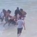 Polisi dan Prajurit TNI AU Gugur Saat Selamatkan Pelajar Tenggelam di Pantai Nirun Lear Maluku