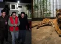 Eks Dirut Kebun Binatang Surabaya Jadi Tersangka Korupsi Pakan Ternak Rp10,2 Miliar, Satwa Jadi Kurus hingga Terancam Mati