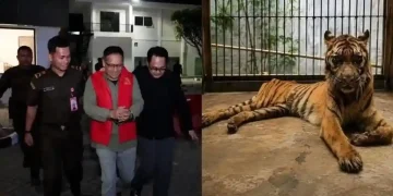 Eks Dirut Kebun Binatang Surabaya Jadi Tersangka Korupsi Pakan Ternak Rp10,2 Miliar, Satwa Jadi Kurus hingga Terancam Mati