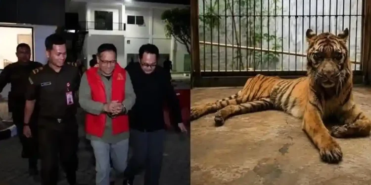 Eks Dirut Kebun Binatang Surabaya Jadi Tersangka Korupsi Pakan Ternak Rp10,2 Miliar, Satwa Jadi Kurus hingga Terancam Mati