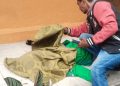 Driver Ojol Meninggal Mendadak di Depan Kantor Disdik Medan, Diduga Kelelahan