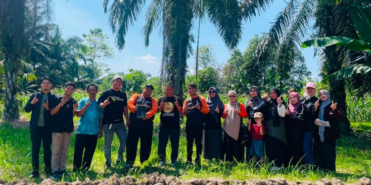 Aksi Penanaman 100 Pohon Warnai Milad Dompet Dhuafa ke-33