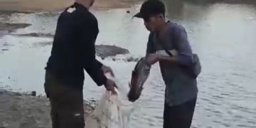 Air Kolam Diambil Helikopter Water Bombing, Pemilik Pemancingan di Banjar Minta Ganti Rugi