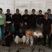 4 Anggota Geng Motor Ditangkap Usai Tawuran, Senjata hingga Celurit Panjang Diamankan