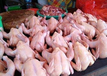 Harga Ayam Potong di Medan Tembus Rp45 Ribu, Omzet Pedagang Turun 30 Persen