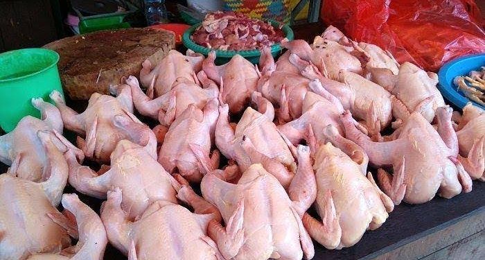 Harga Ayam Potong di Medan Tembus Rp45 Ribu, Omzet Pedagang Turun 30 Persen