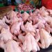 Harga Ayam Potong di Medan Tembus Rp45 Ribu, Omzet Pedagang Turun 30 Persen