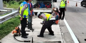 Dua Pekerja Tewas Disambar Truk Hino Saat Memotong Rumput di Tol Medan-Tebing Tinggi