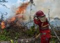 Polri Tetapkan 112 Tersangka Karhutla, Pembukaan Lahan Jadi Motif Utama