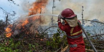 Polri Tetapkan 112 Tersangka Karhutla, Pembukaan Lahan Jadi Motif Utama