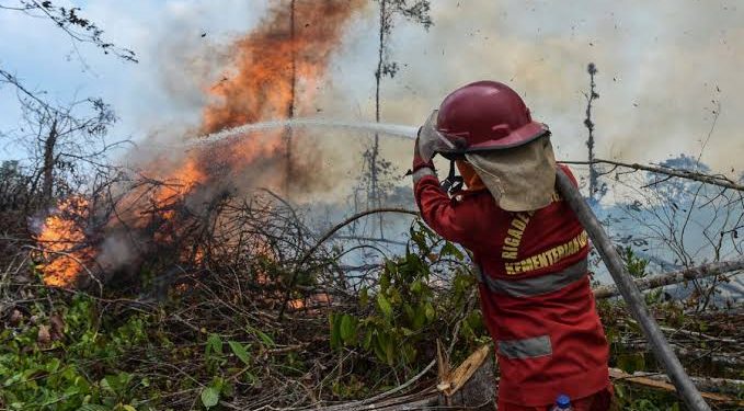 Polri Tetapkan 112 Tersangka Karhutla, Pembukaan Lahan Jadi Motif Utama