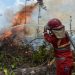 Polri Tetapkan 112 Tersangka Karhutla, Pembukaan Lahan Jadi Motif Utama