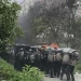 Eksekusi Lahan di Helvetia Memanas, Empat Polisi Jadi Korban Lemparan dan Molotov