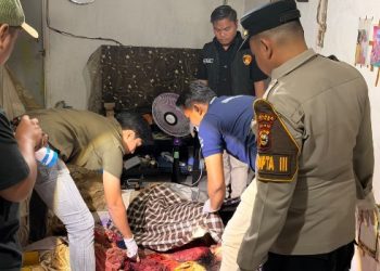 Polisi di Siak Habisi Nyawa Ibu Kandung, Jalani Observasi Kejiwaan