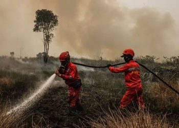 Pemerintah Belum Tetapkan Karhutla sebagai Bencana Nasional, Dudung: Masih Mampu Kita Atasi