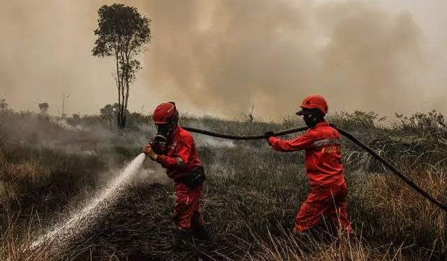 Pemerintah Belum Tetapkan Karhutla sebagai Bencana Nasional, Dudung: Masih Mampu Kita Atasi